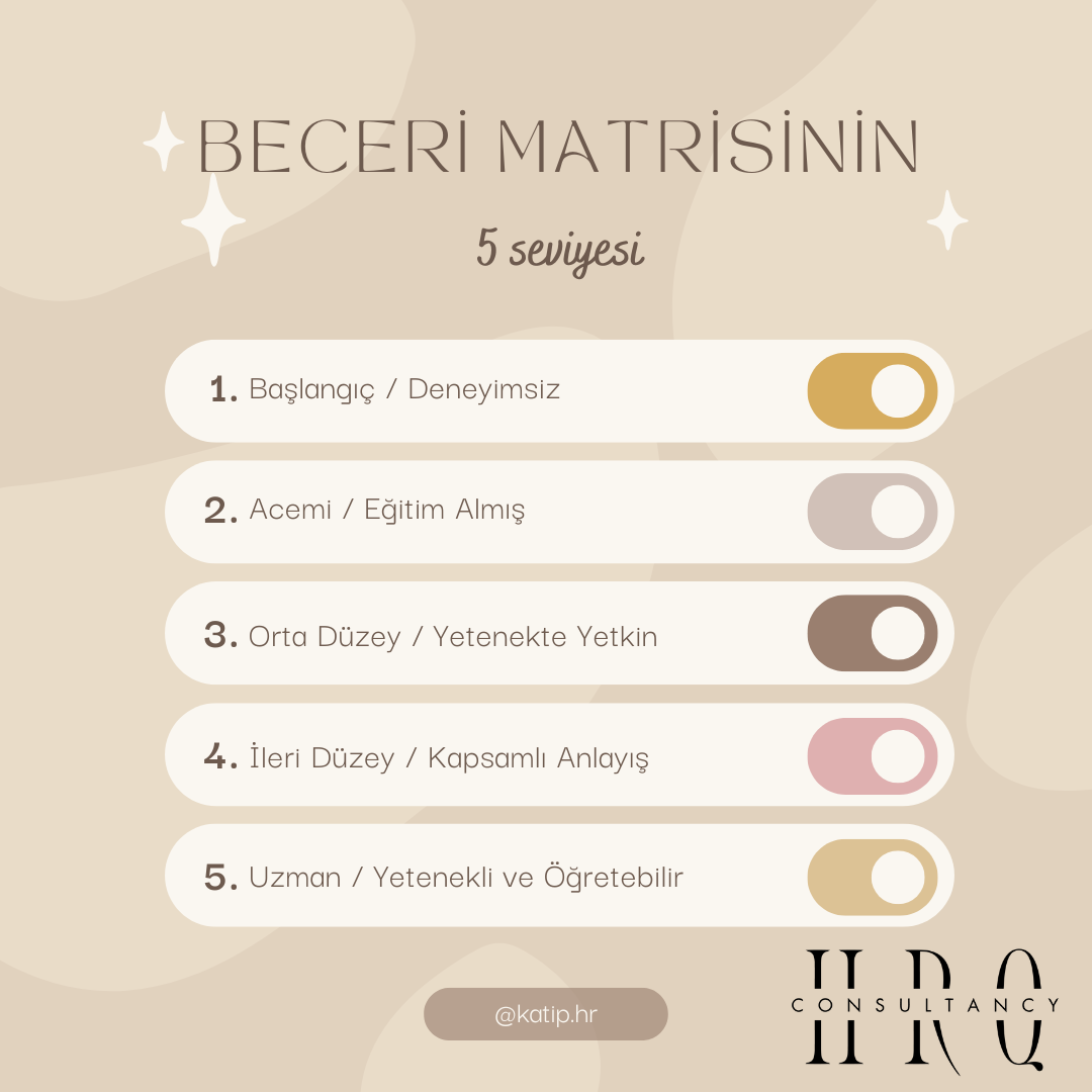 Beceri Matrisinin 5 Seviyesi